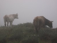 Rifugio_Pirao - 20101010 002.jpg